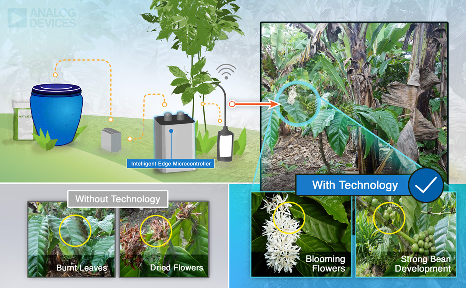 Smart and Edge device technology used in successful coffee growing.