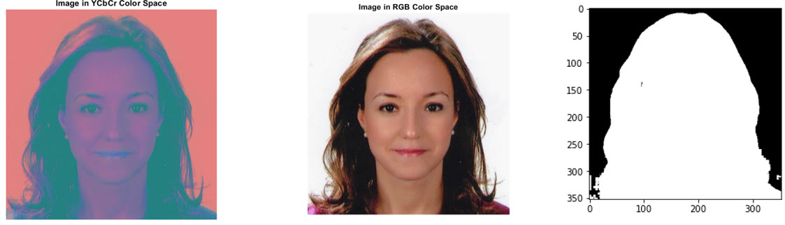 Sample portrait image in YCbCr Color Space, RGB space, and the model output