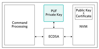 CDSA signing with PUF as the private key.