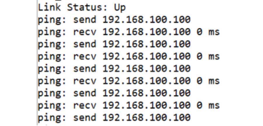 Figure 5. Ping output in serial terminal.