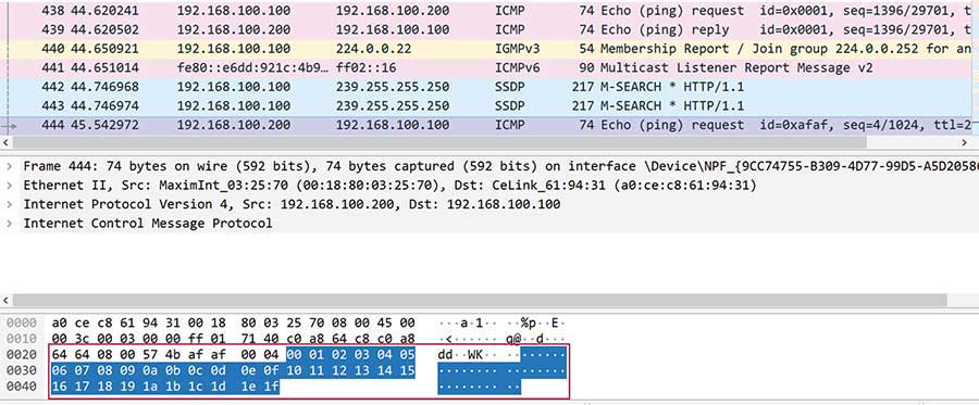 Figure 6. Ping data packet in Wireshark.