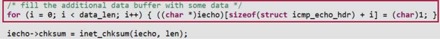 Figure 9. Modified ping data packet.