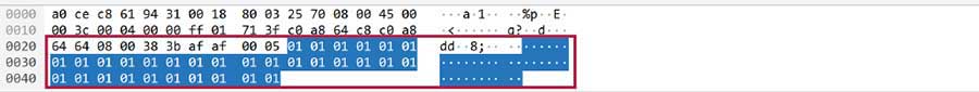 Figure 10. Modified ping data packet in Wireshark.