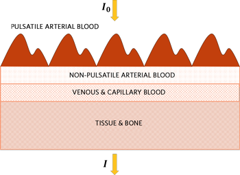 Figure 1. A schematic of pulsatile arterial blood and other blood and tissue components.