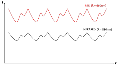 Figure 2. Photoplethysmographic (PPG) signals received by a photodiode from red and infrared LEDs.