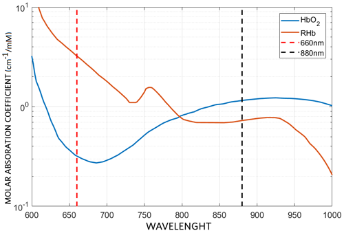 Figure 3. Molar absorption coefficients of HbO2 and RHb