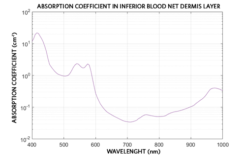 Absorption coefficient in the inferior blood net dermis layer as a function of wavelength