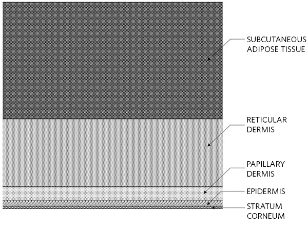 Figure 1. The five-layer optical model of the skin (not to
scale).