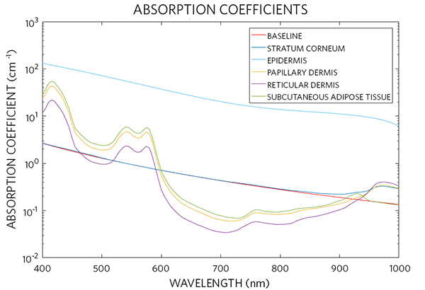 Figure 4. Absorption spectra of different skin layers calculated in accordance with the presented optical model.