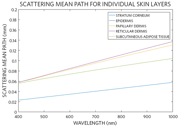 Figure 7. Scattering mean path of different skin layers calculated in accordance with the presented optical model.