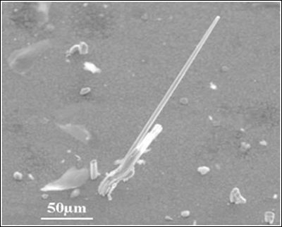 Figure 1. An example of a needle-like tin whisker. Courtesy of CALCE/University of Maryland.