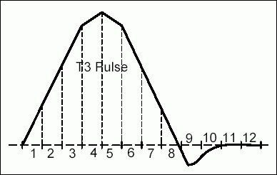 Figure 10. A typical T3 pulse divided into 12 sections.