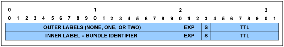 Figure 6. MPLS header.