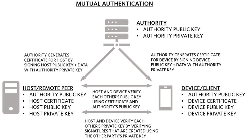 Figure 2. Mutual authentication system overview.