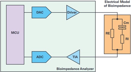 Block diagram of the bioimpedance measurement system