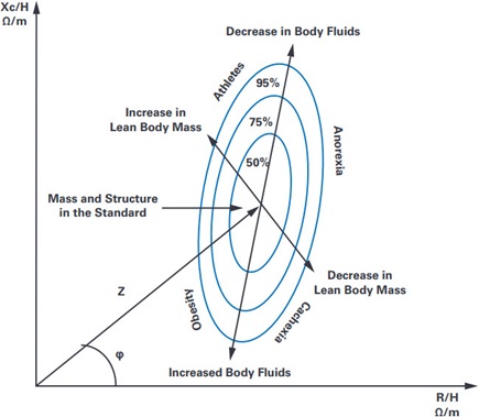 Bioelectrical impedance vector—analysis tolerance ellipses