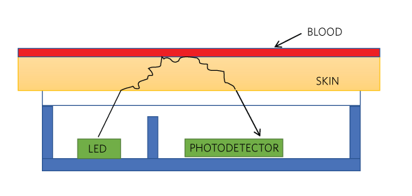 PPG signal using an LED and a photodiode.