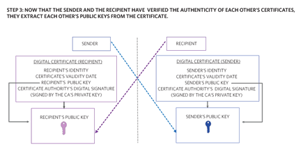 Figure 13. A sender and recipient extract each other’s public keys from a digital certificate.