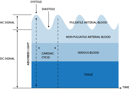 Light absorption diagram of the skin and corresponding DC and AC levels