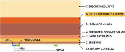 Simulation setup to determine optimal LED-photodiode separation