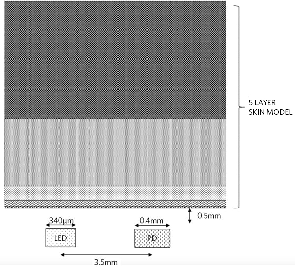 Figure 3. Dimensions of biosensor configuration
used in simulation. 