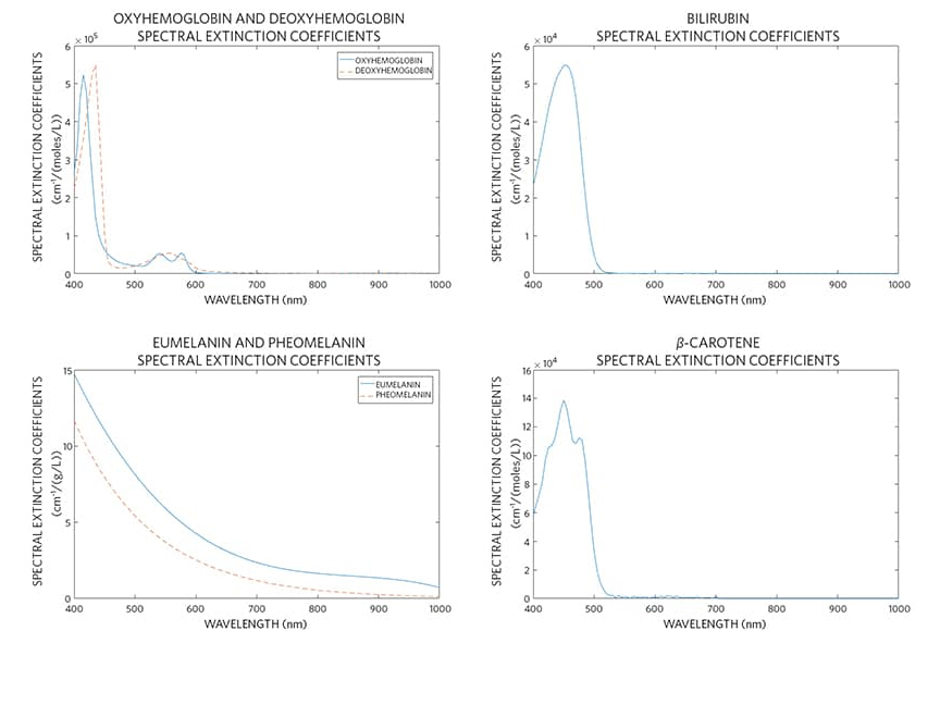 Figure 2. Spectral extinction coefficient
curves for the natural pigments present in skin tissues.