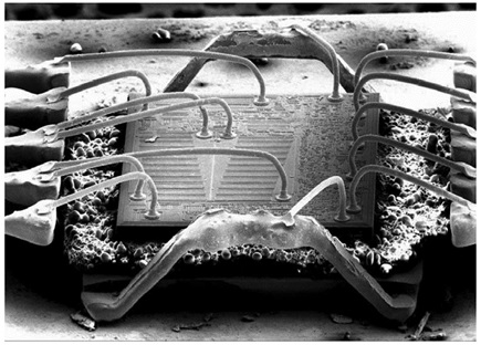 Figure 4. Wirebond shown in a disassembled LT8610.